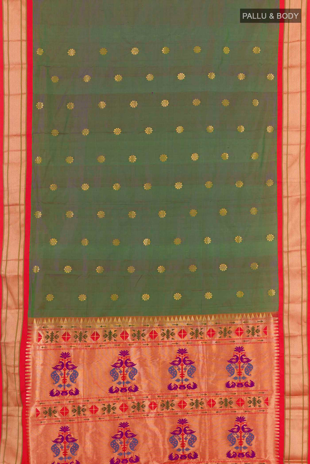 pallu body