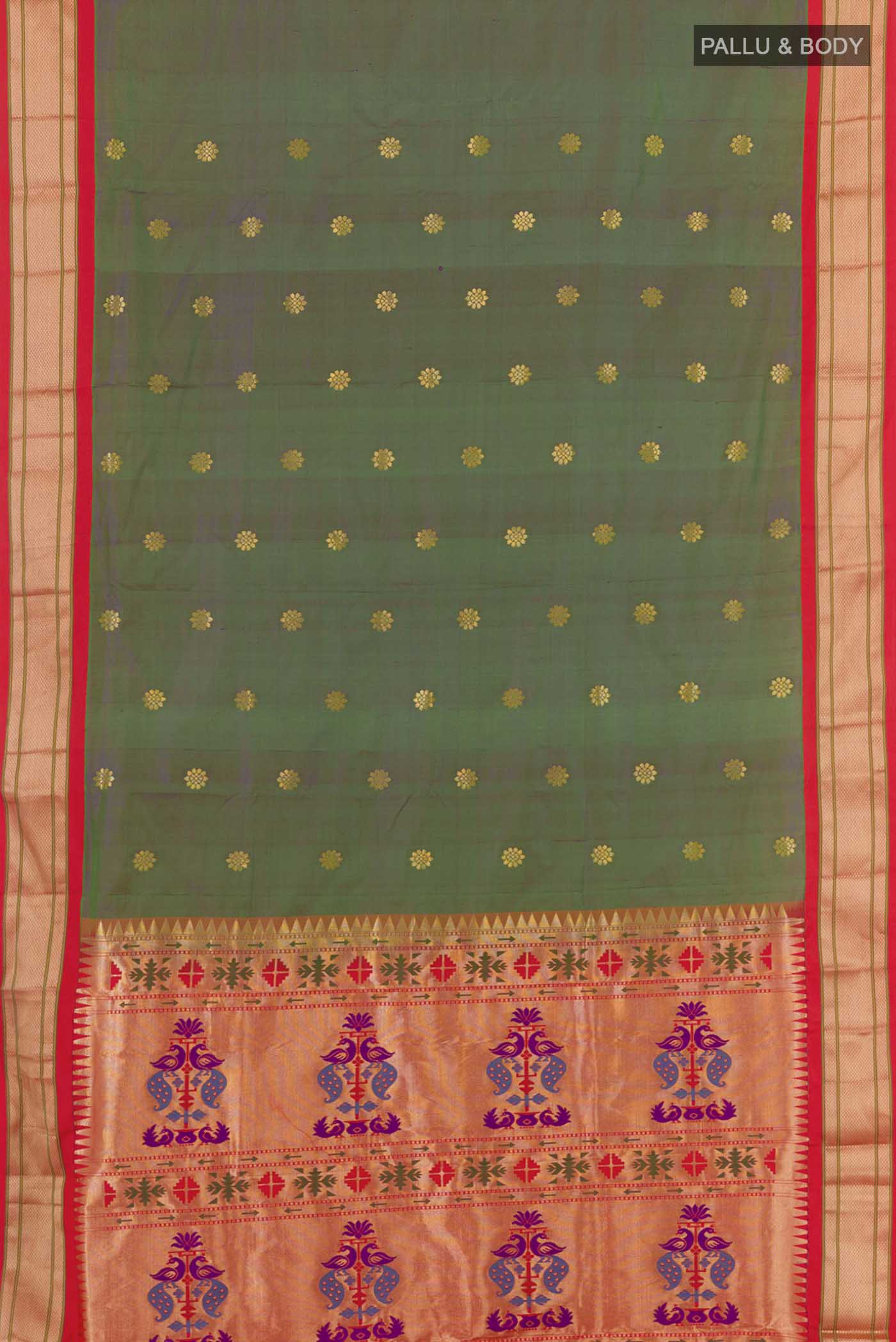 pallu body