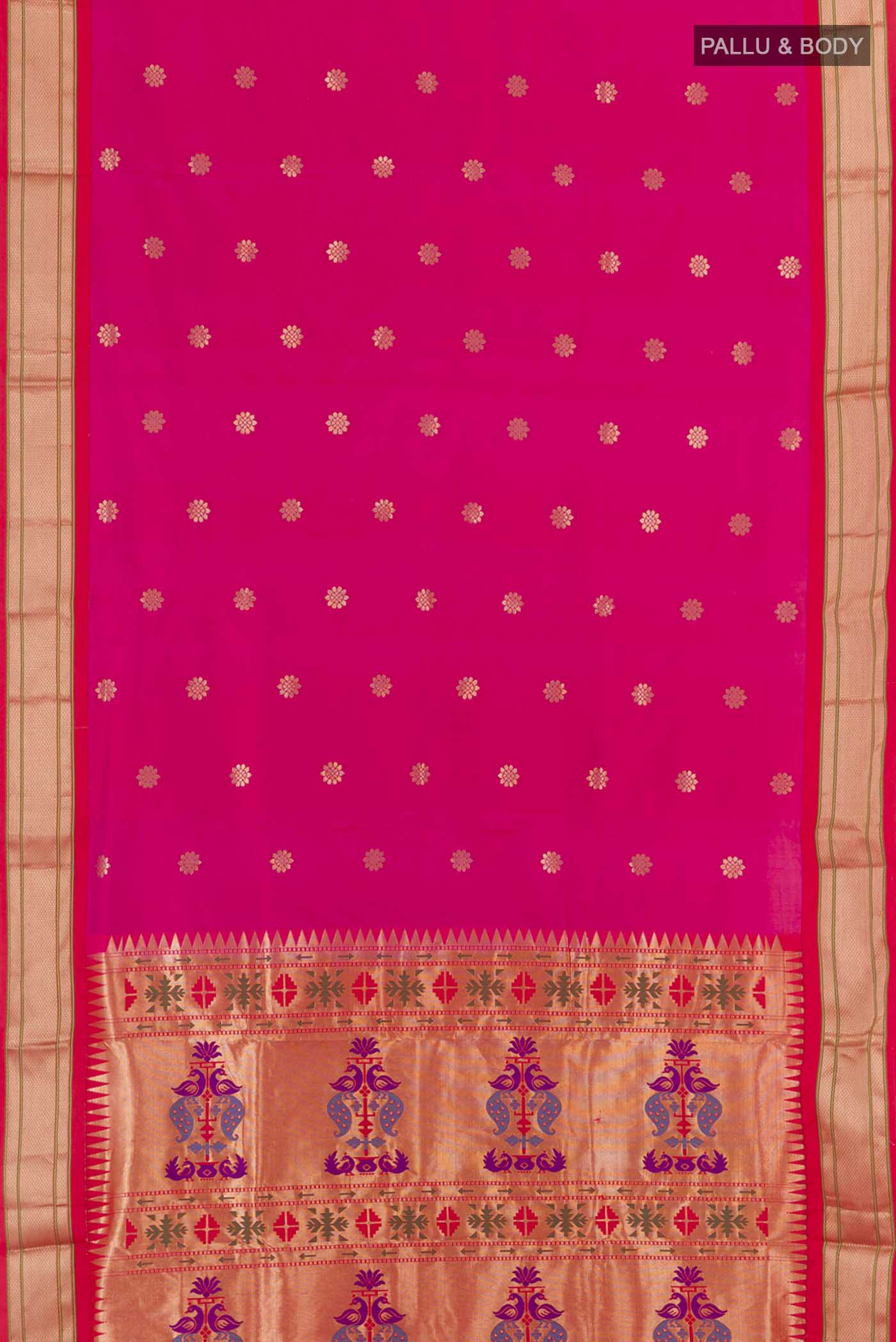 pallu body