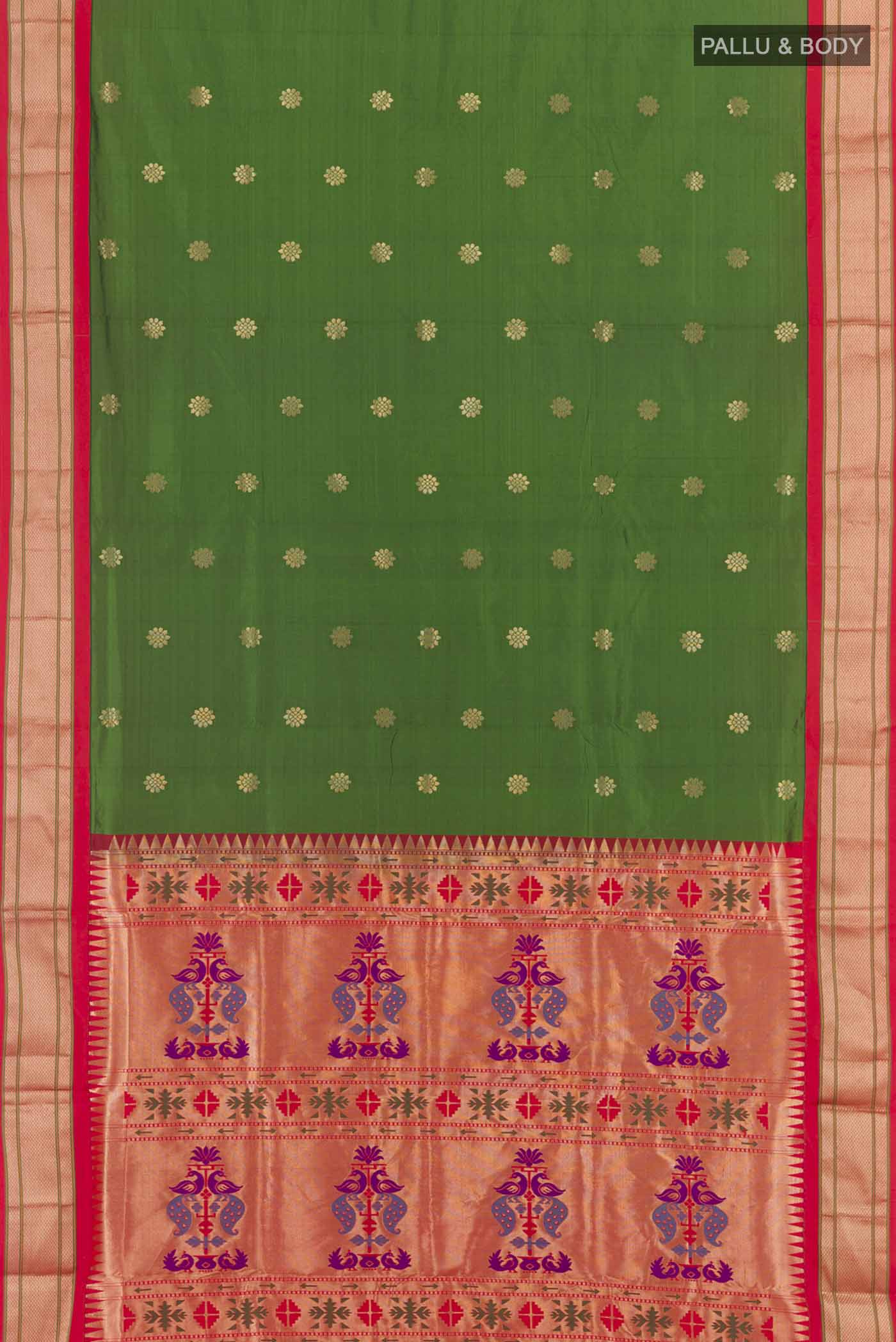 pallu body