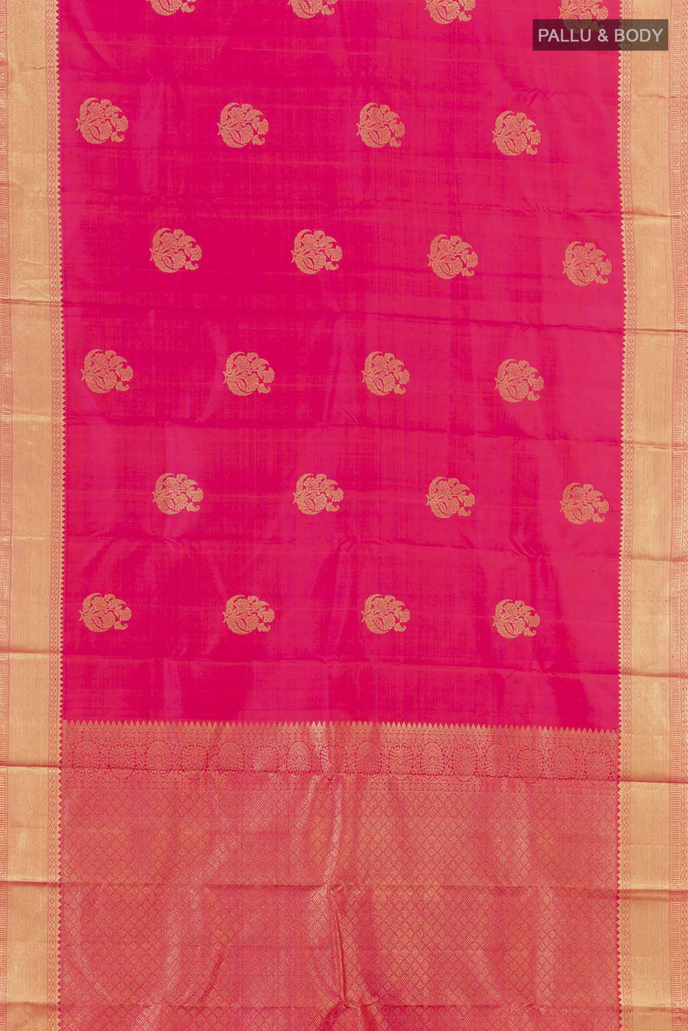 pallu body