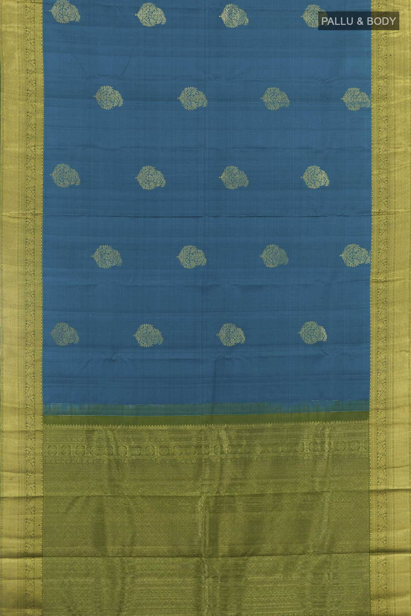 pallu body