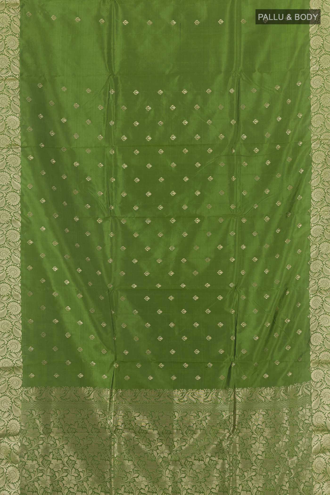 pallu body