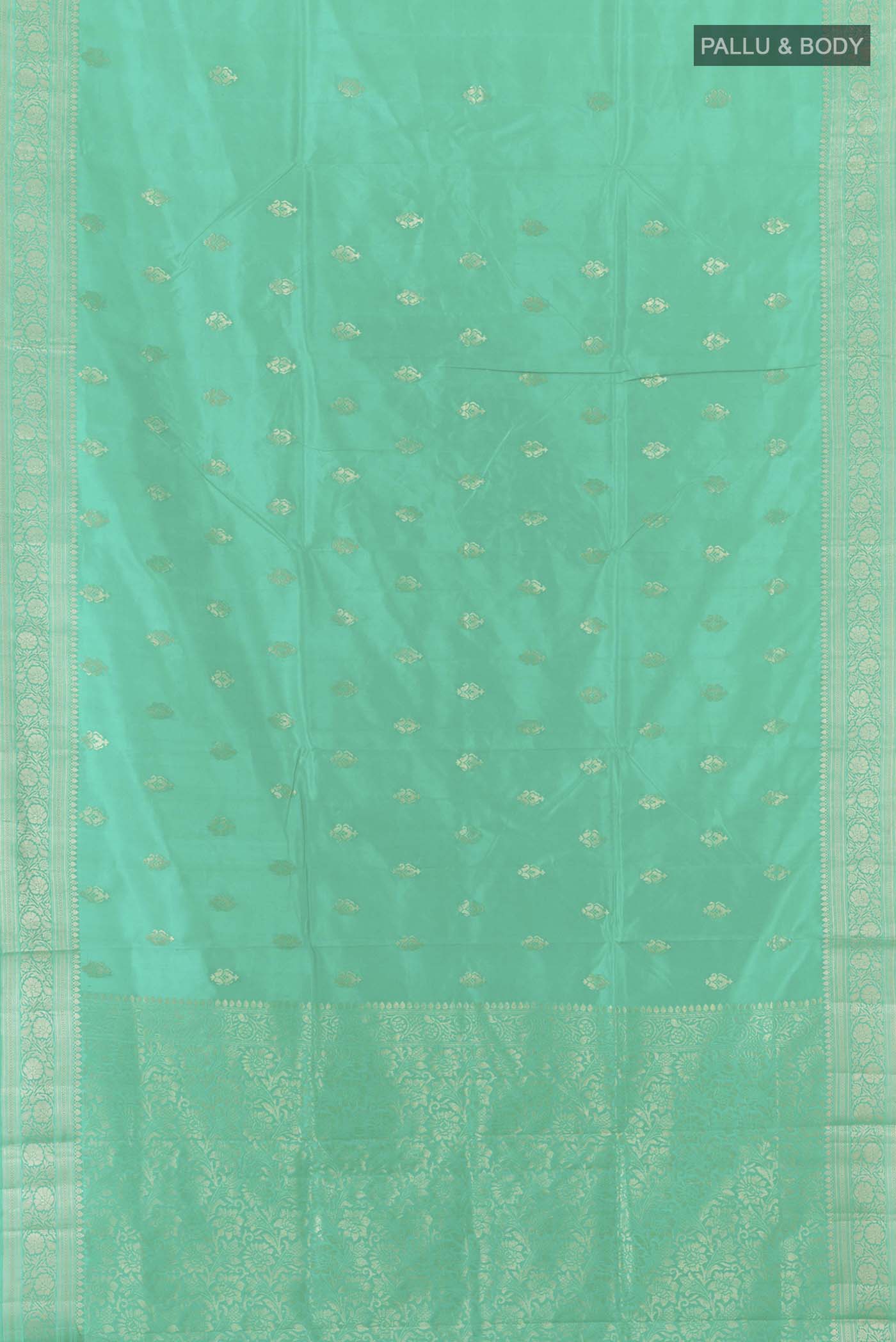 pallu body