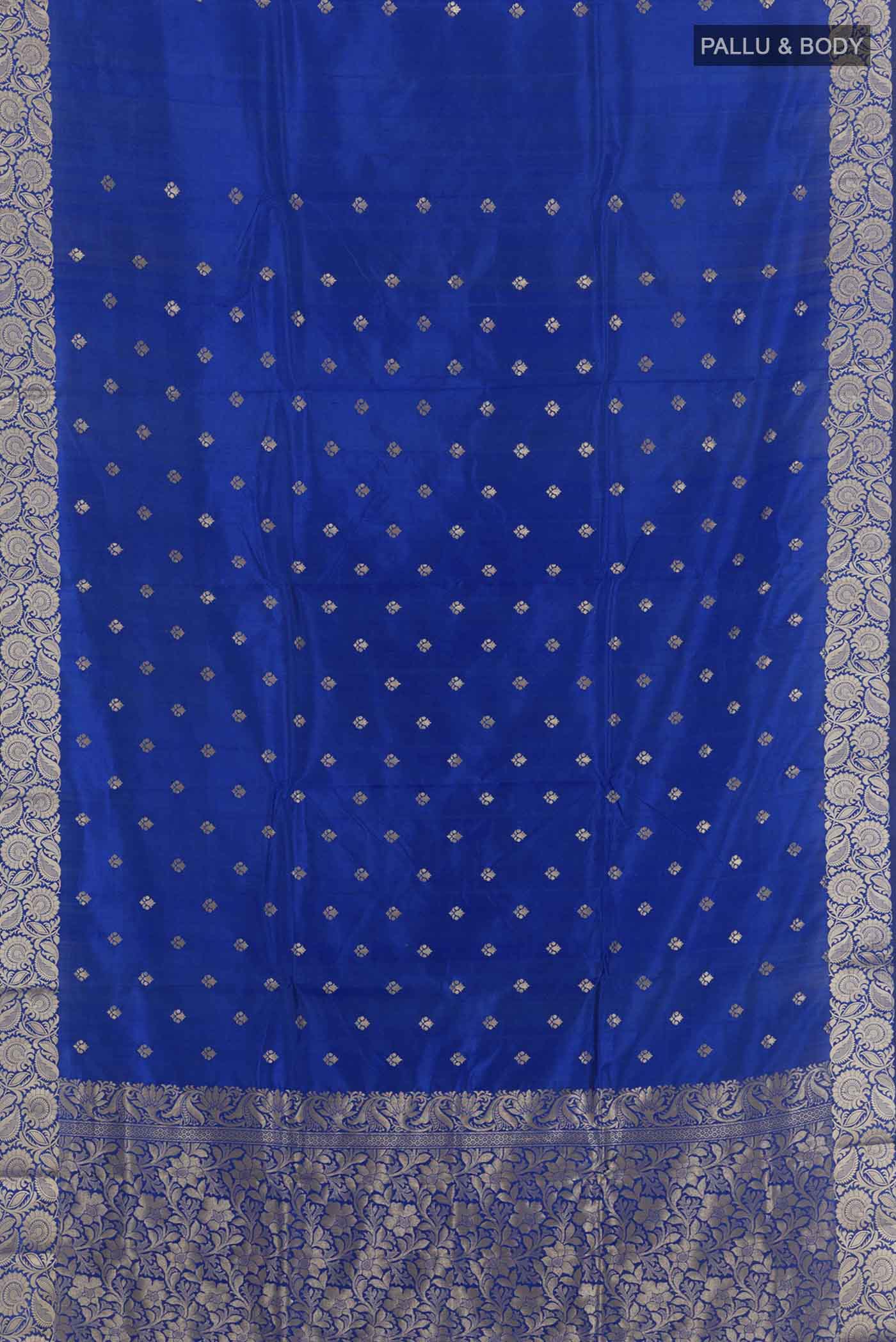 pallu body