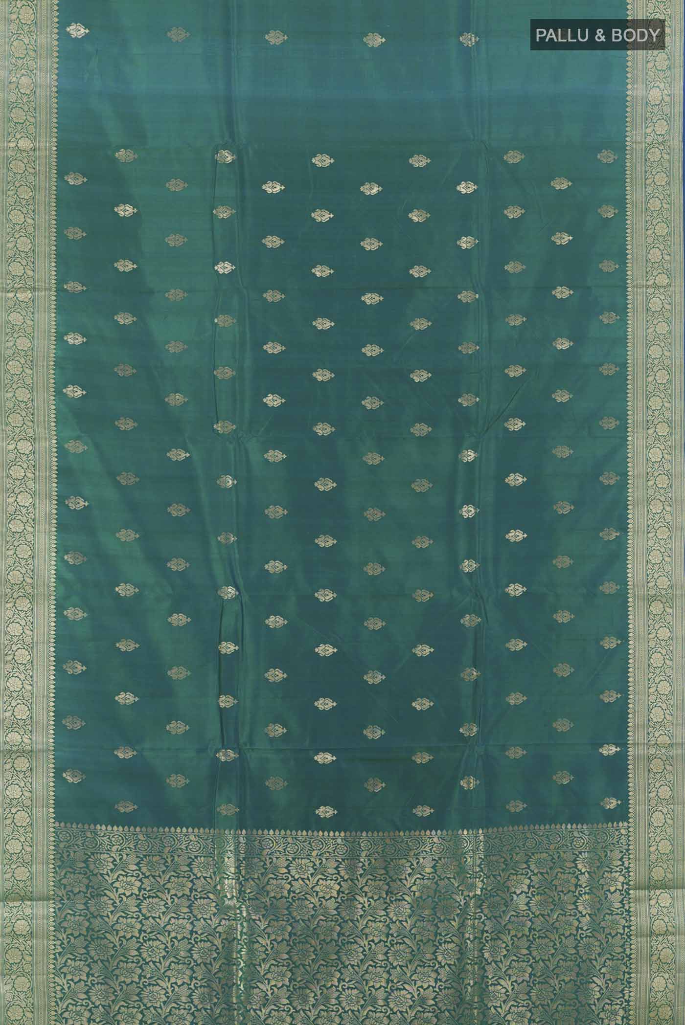 pallu body