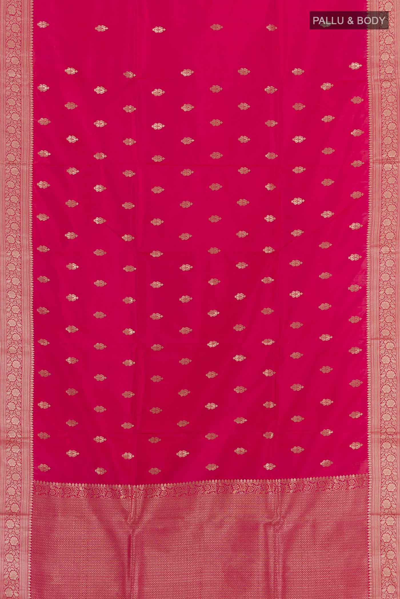 pallu body