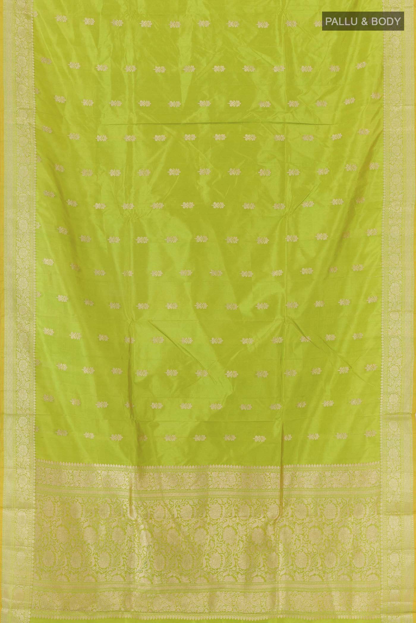 pallu body