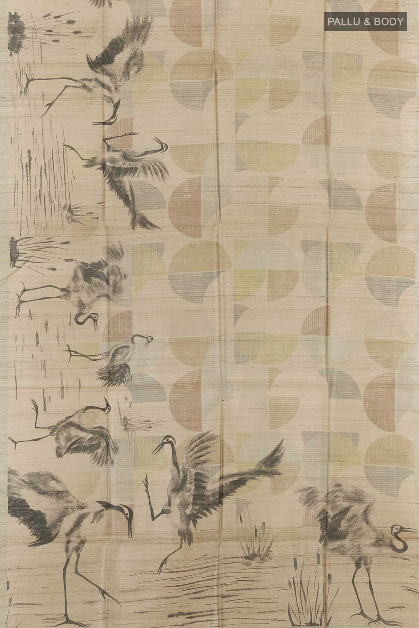 pallu body