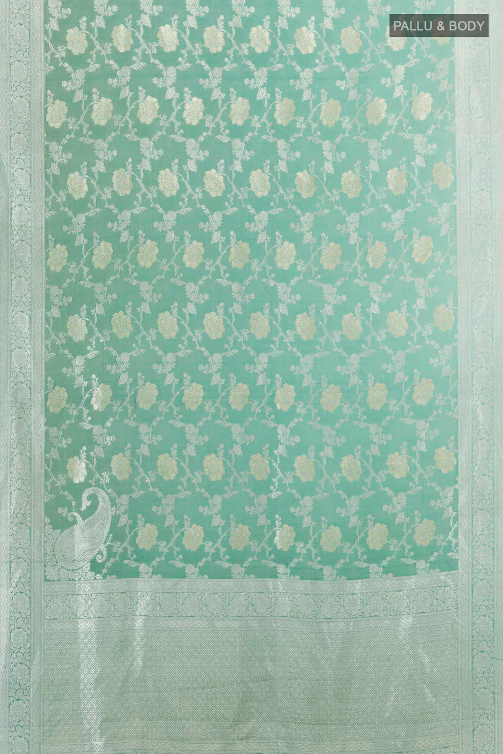 pallu body