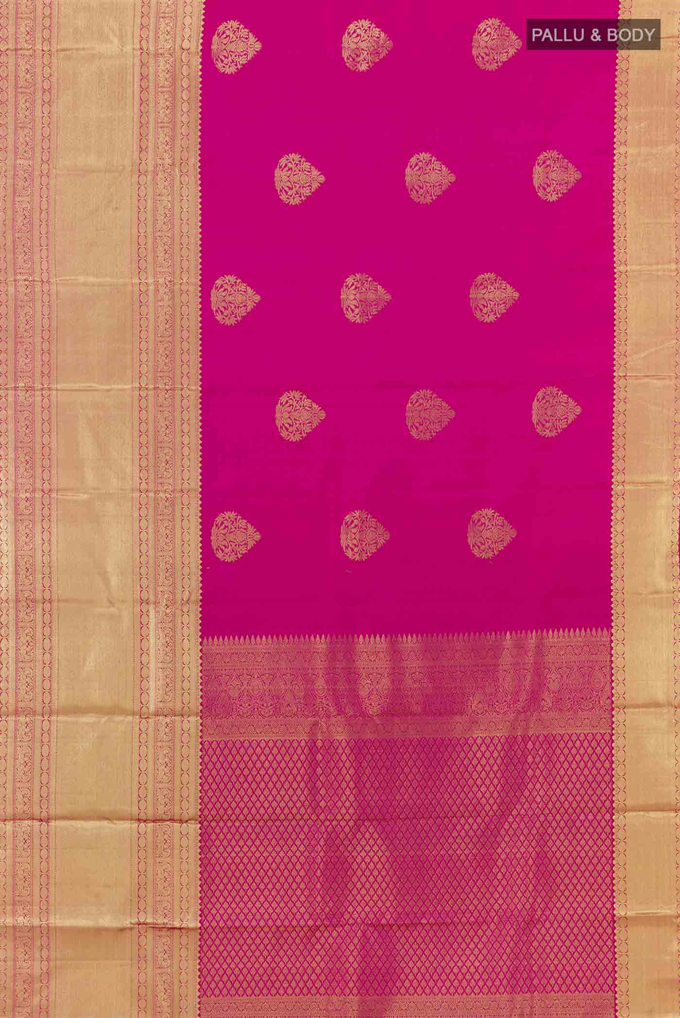 pallu body