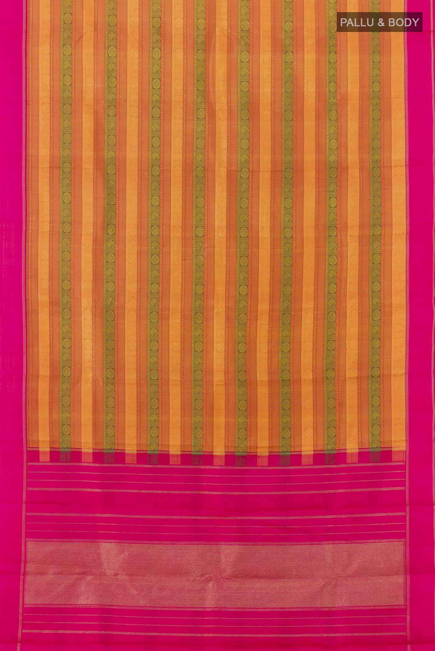 pallu body