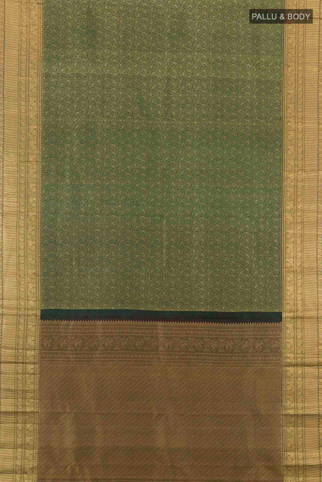 pallu body