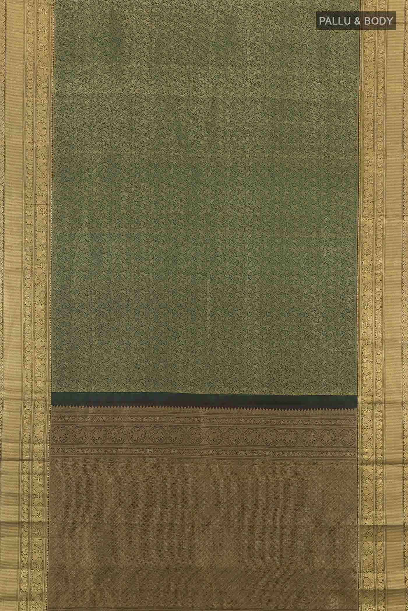 pallu body
