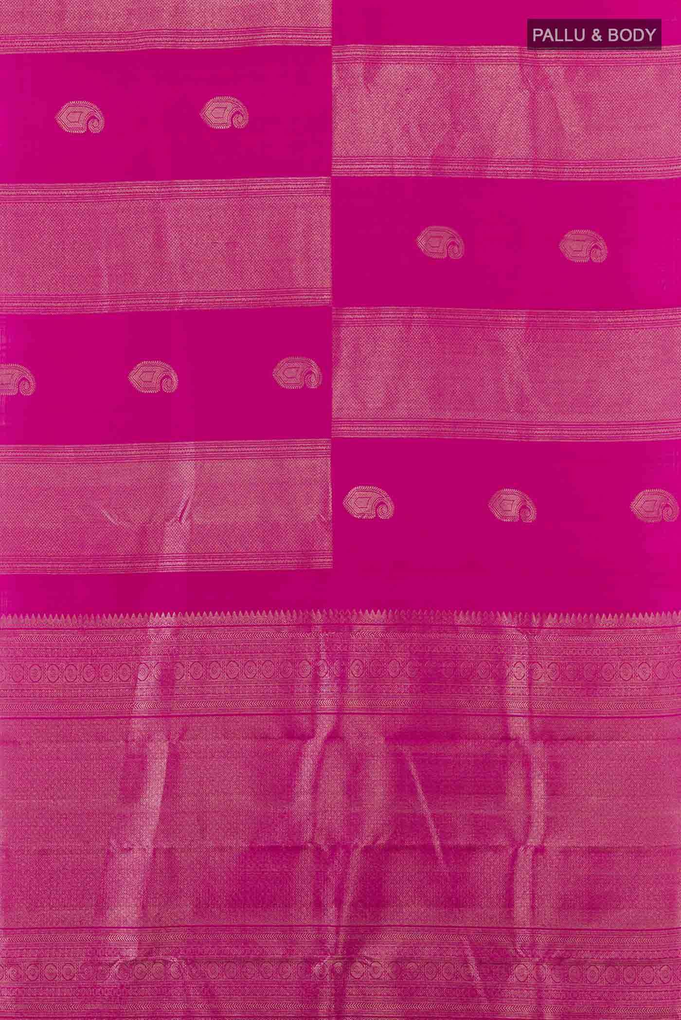pallu body