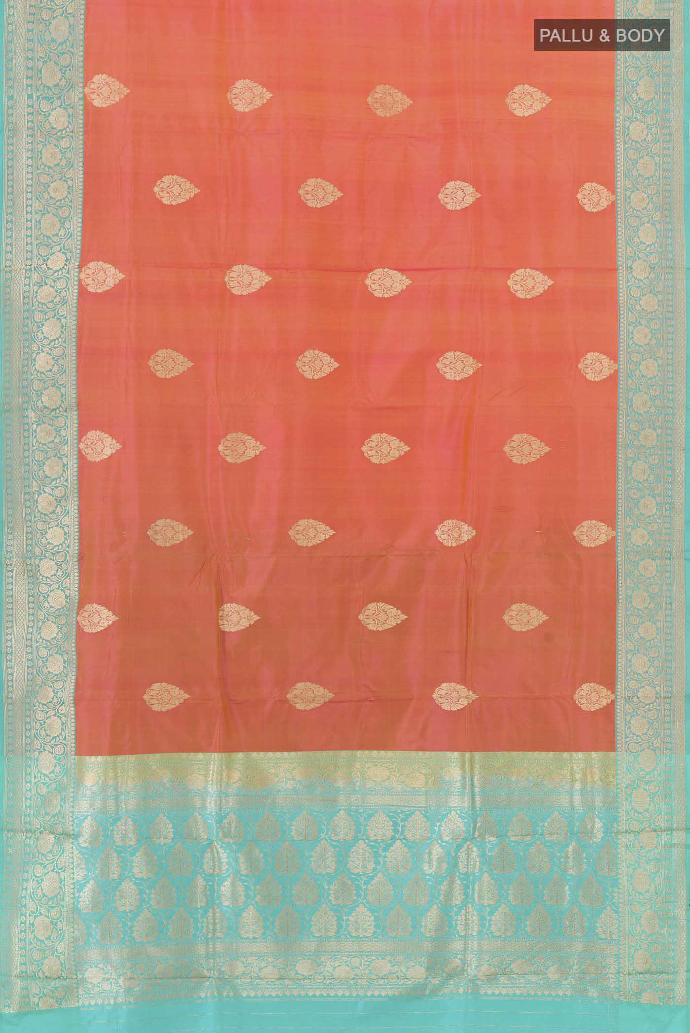 pallu body