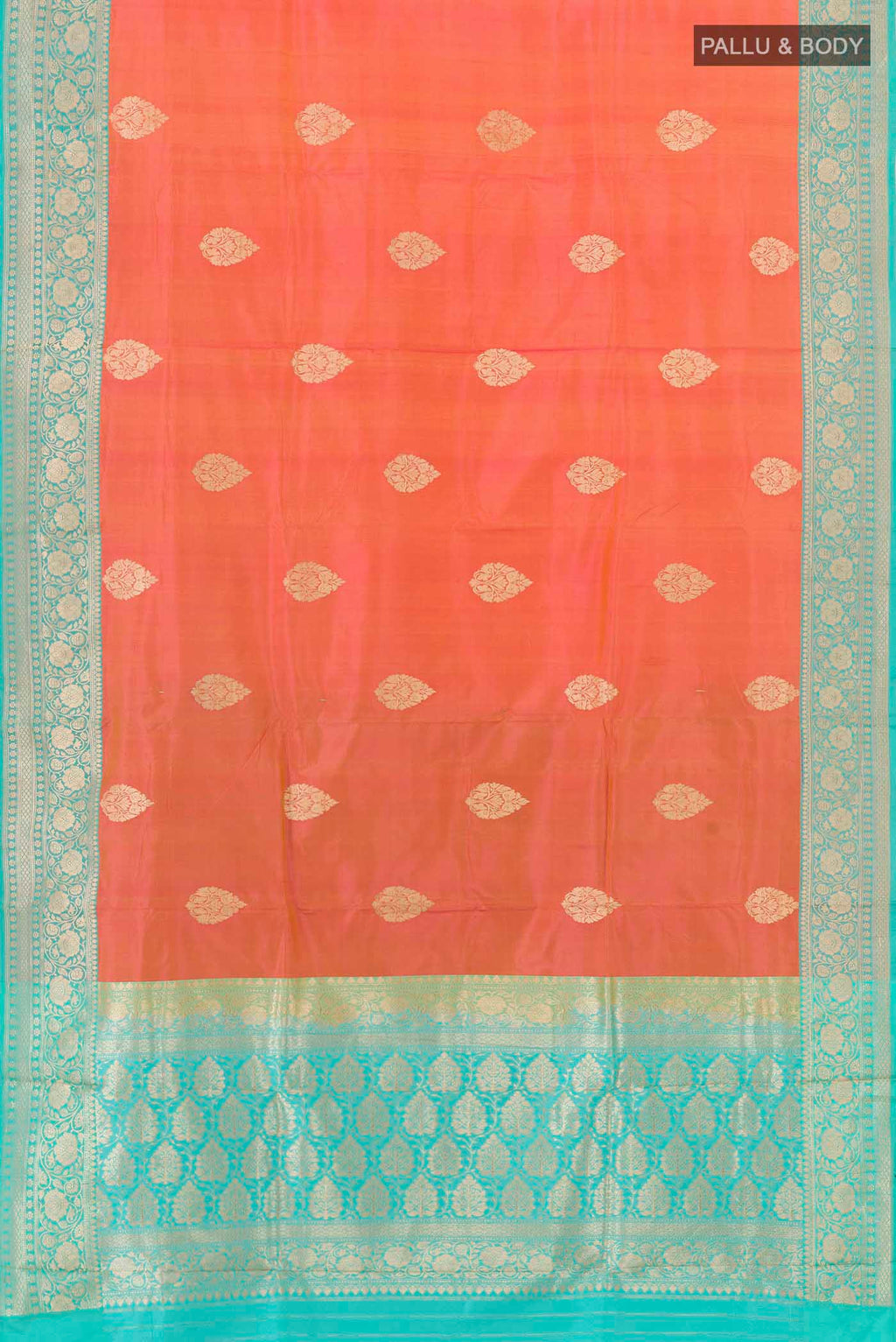 pallu body