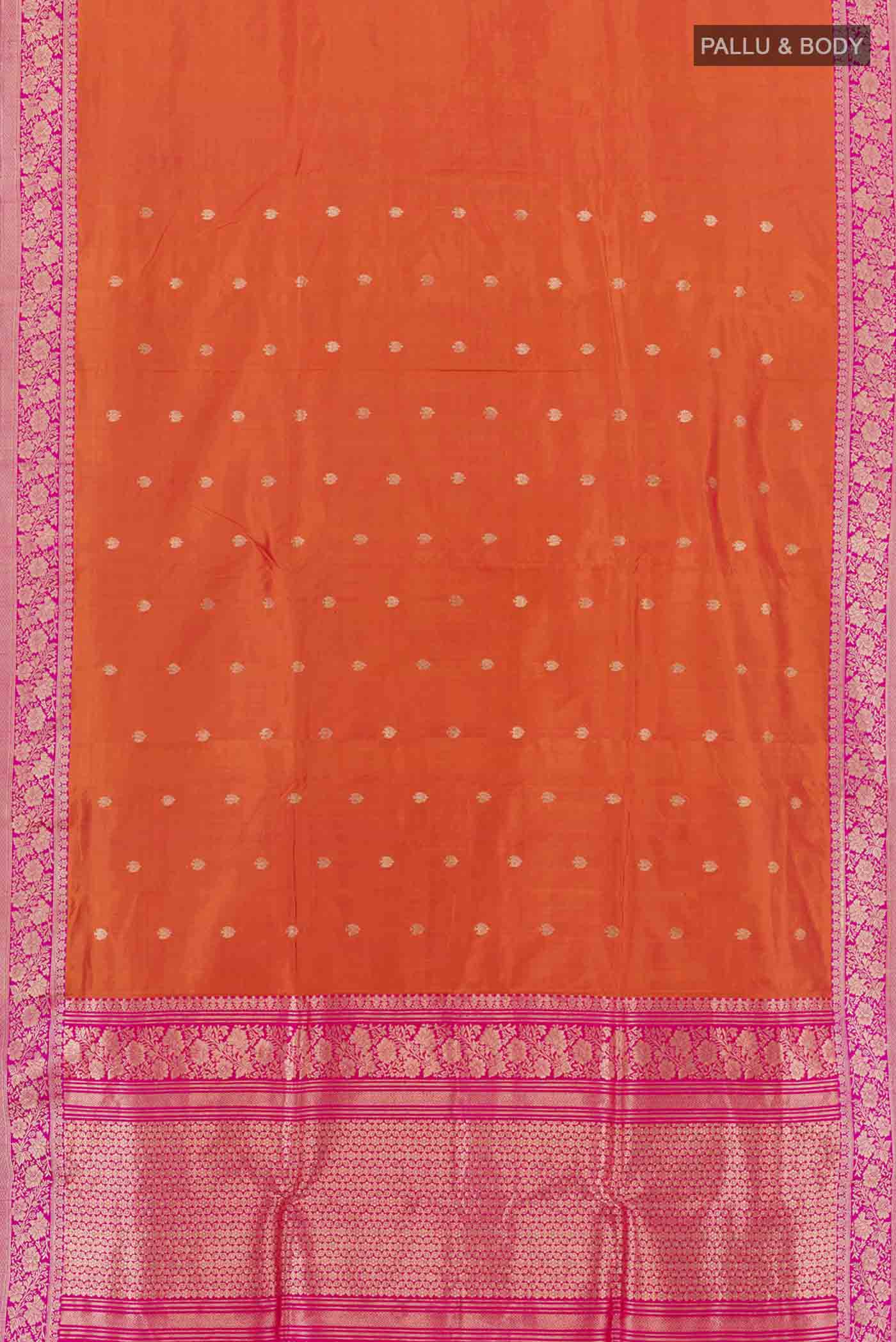 pallu body