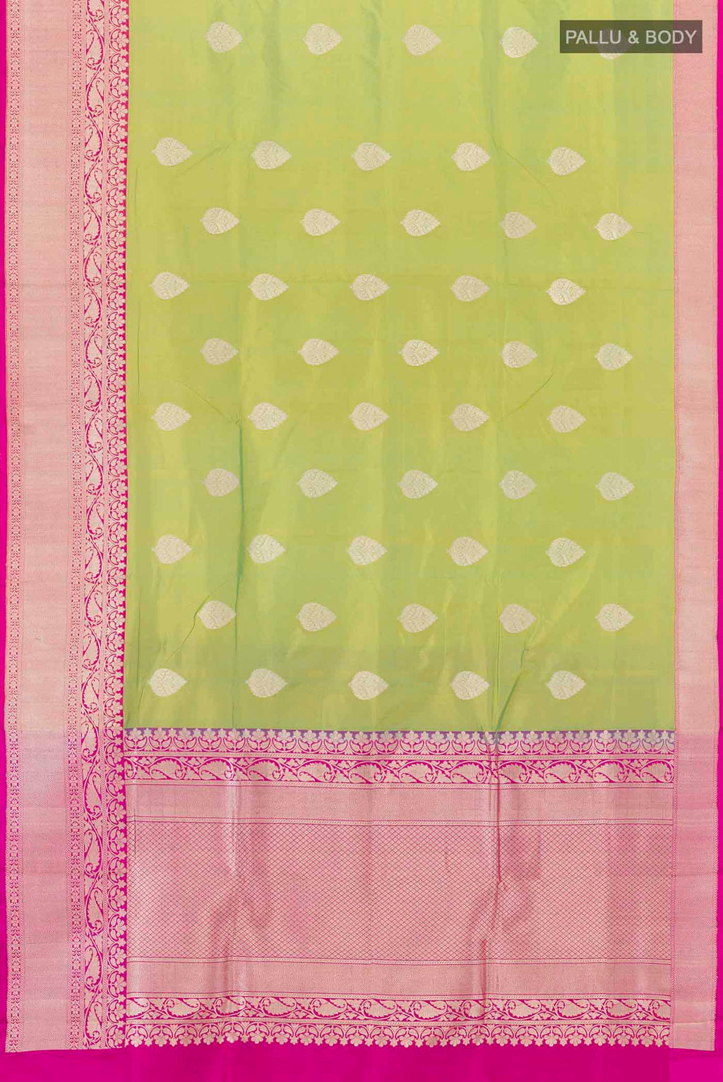 pallu body