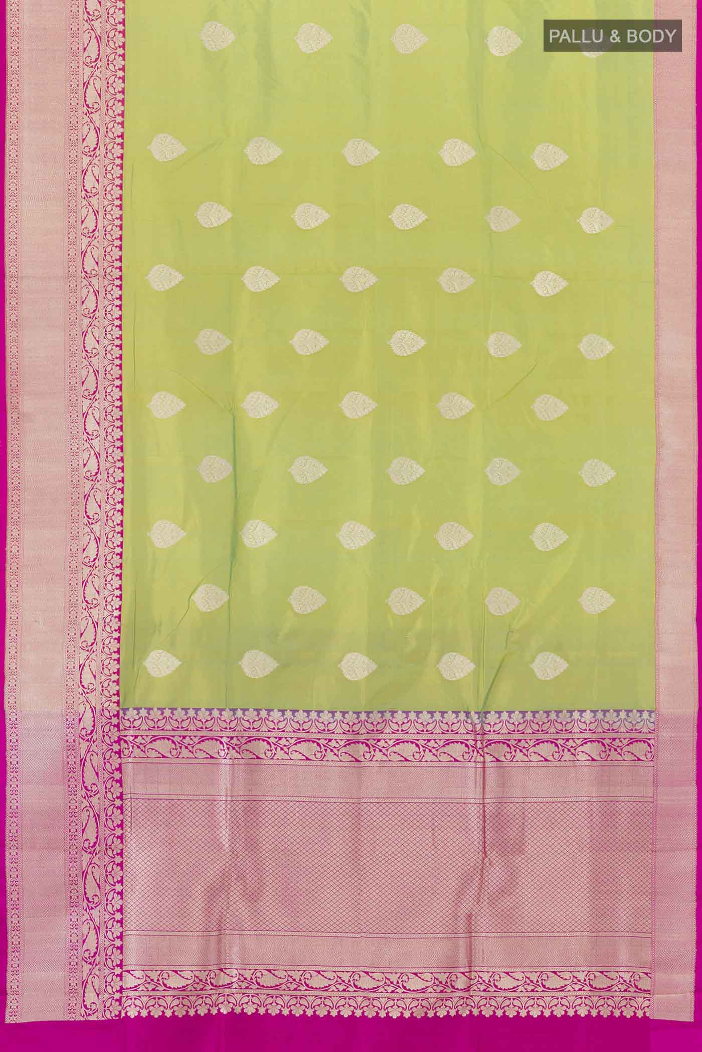 pallu body