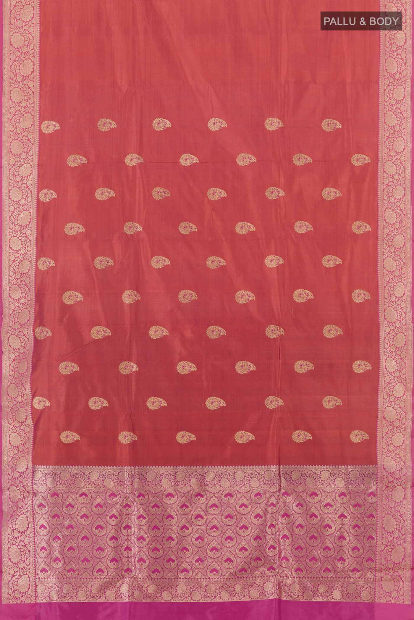 pallu body