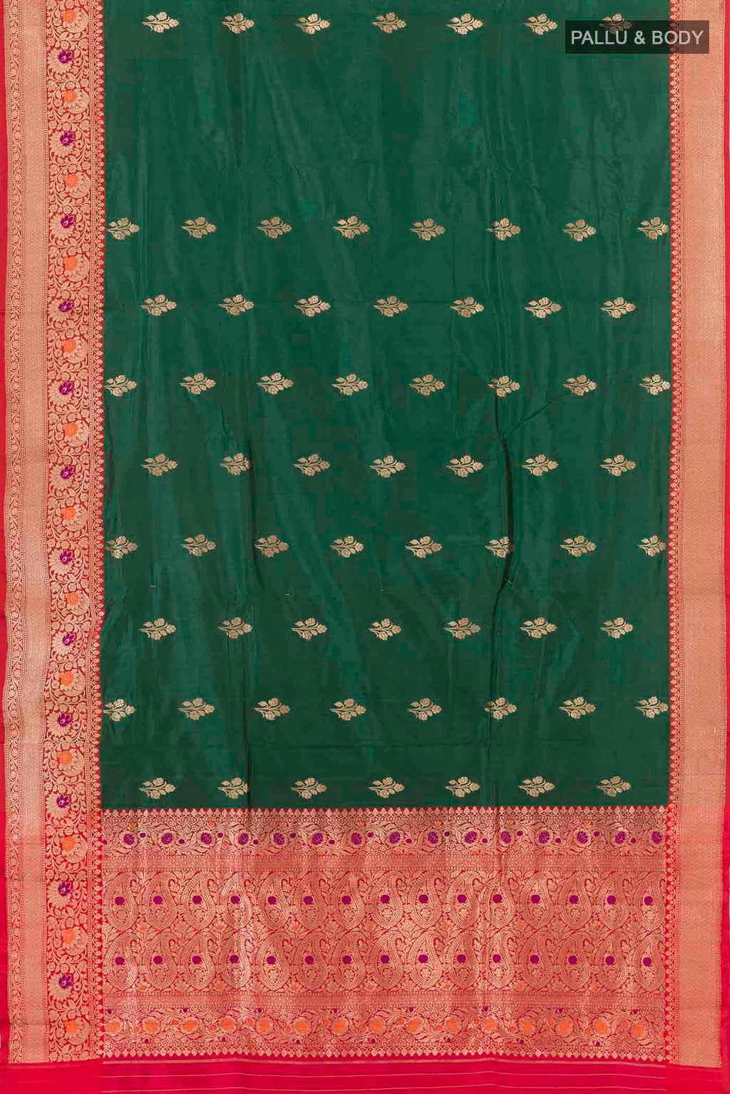 pallu body
