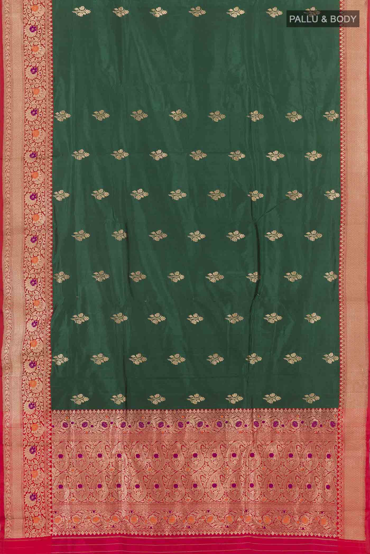 pallu body