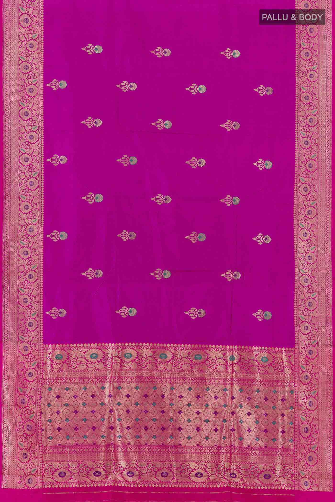 pallu body