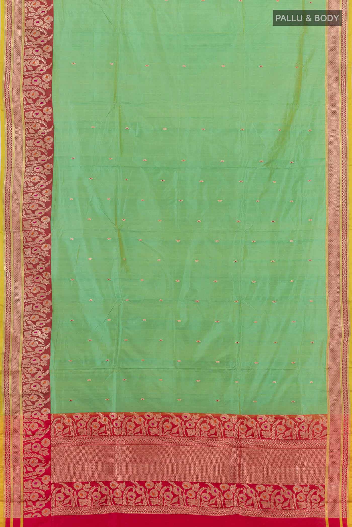 pallu body