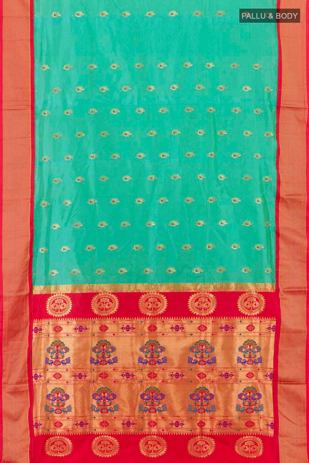 pallu body
