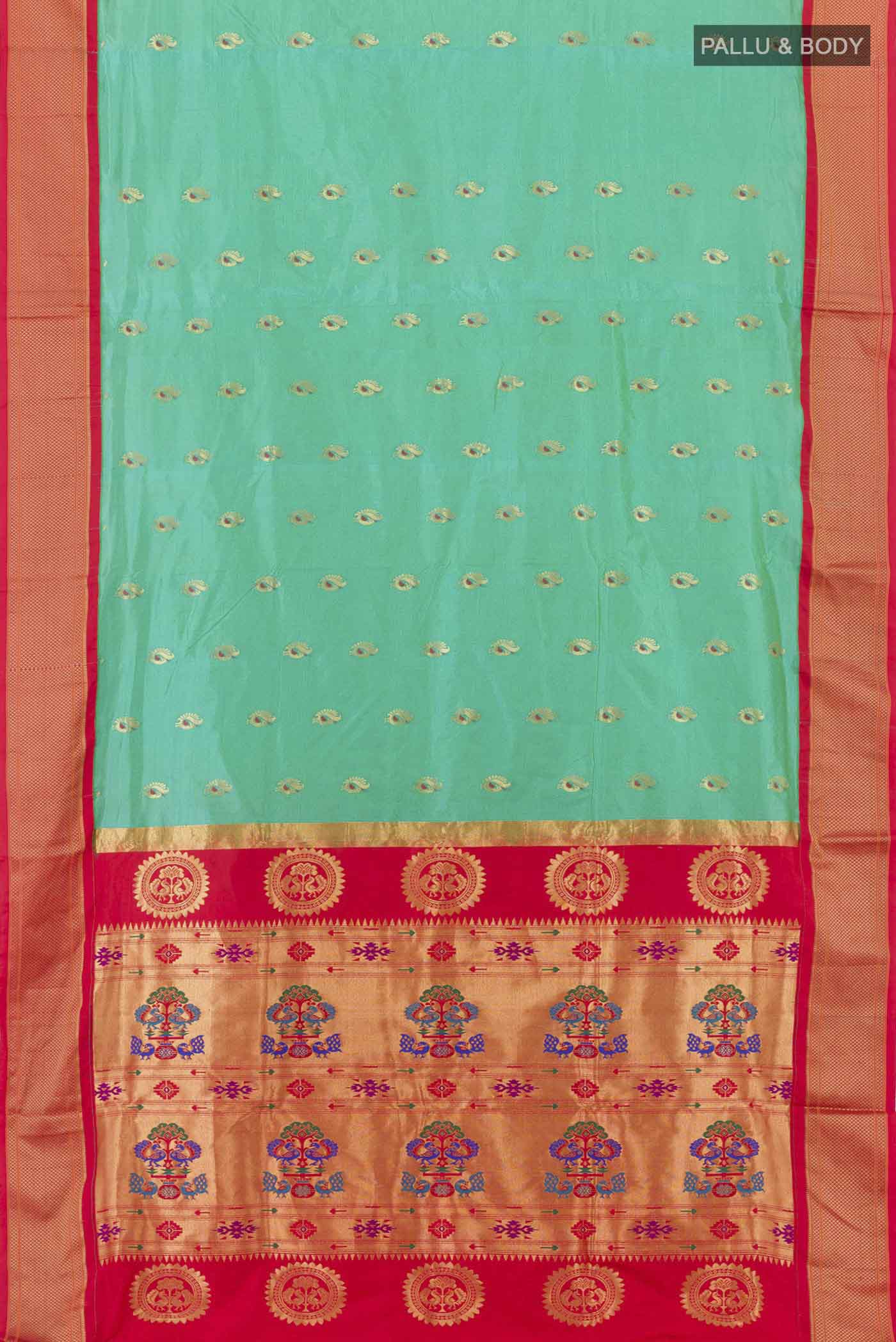 pallu body