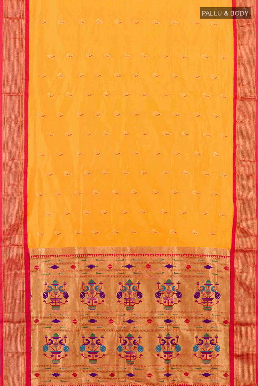 pallu body
