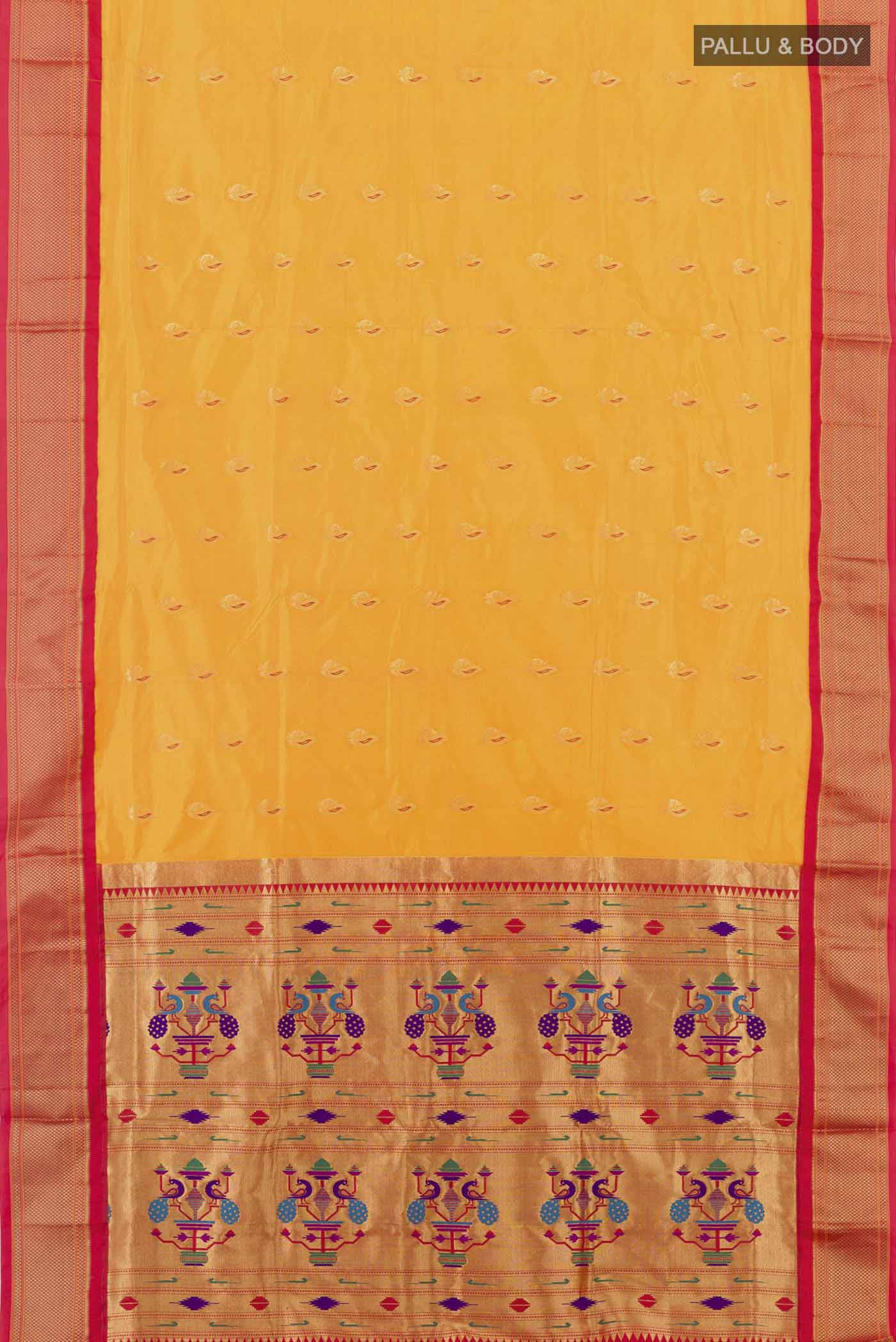 pallu body