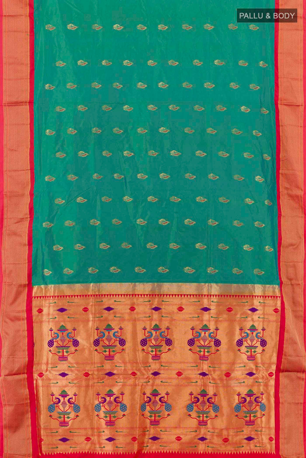 pallu body