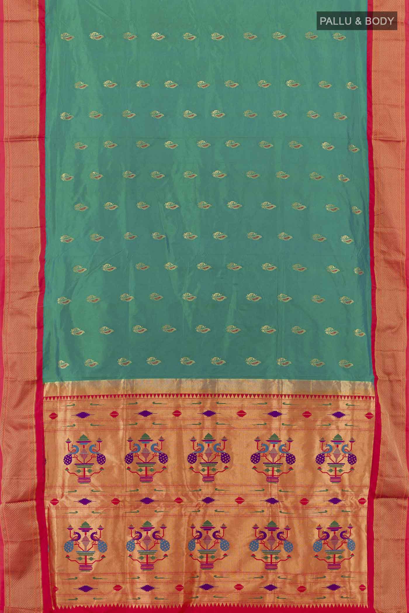 pallu body