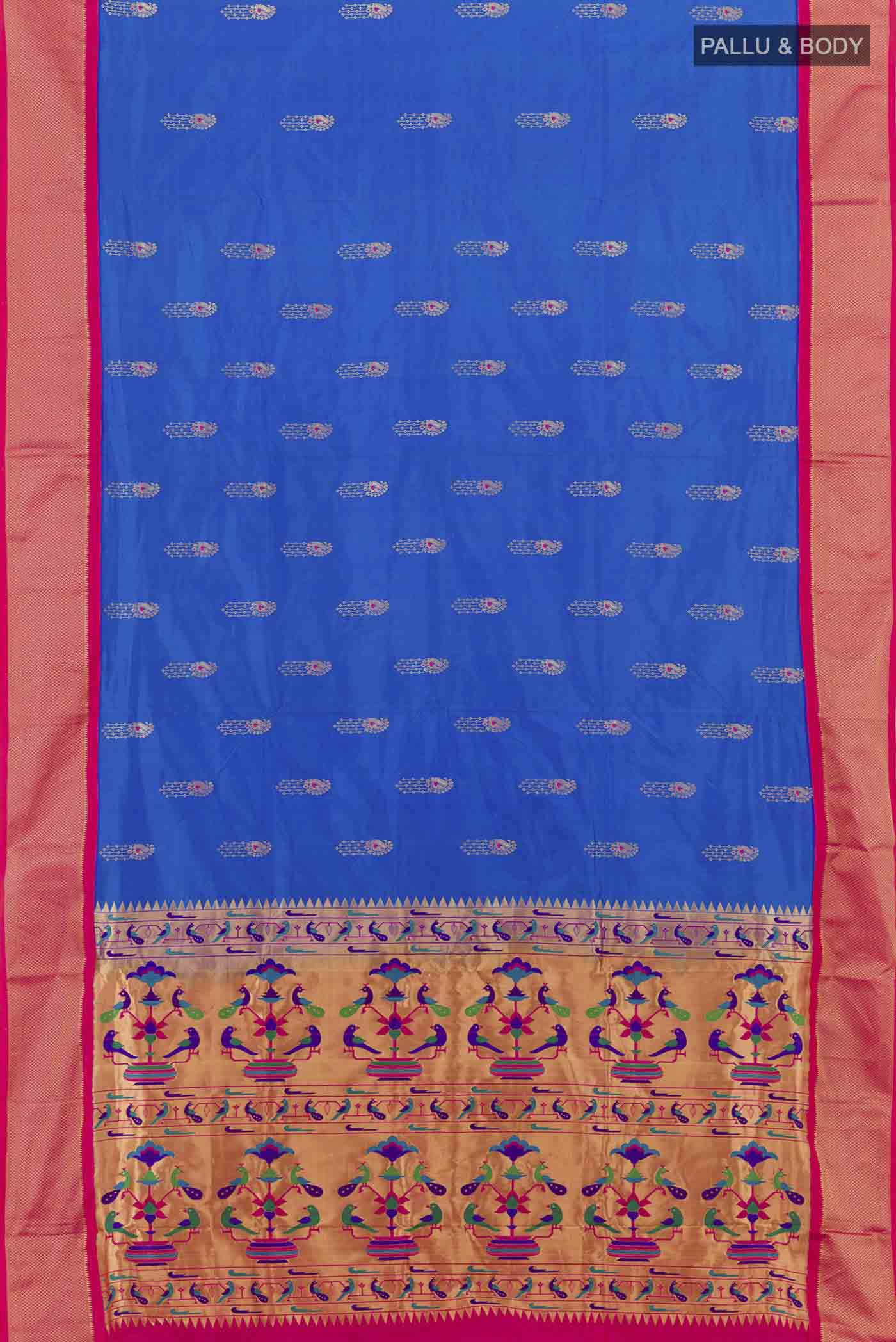 pallu body