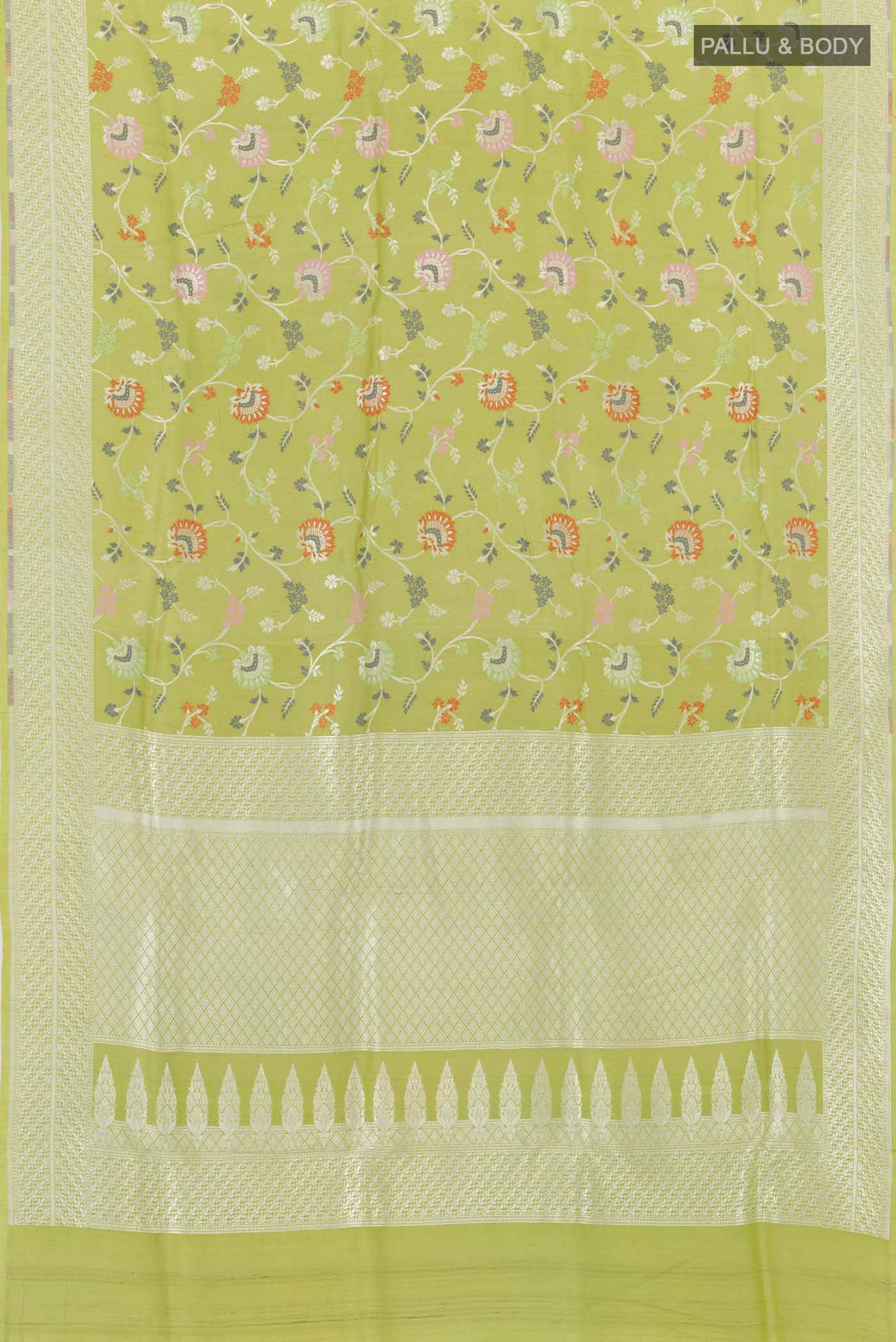 pallu body
