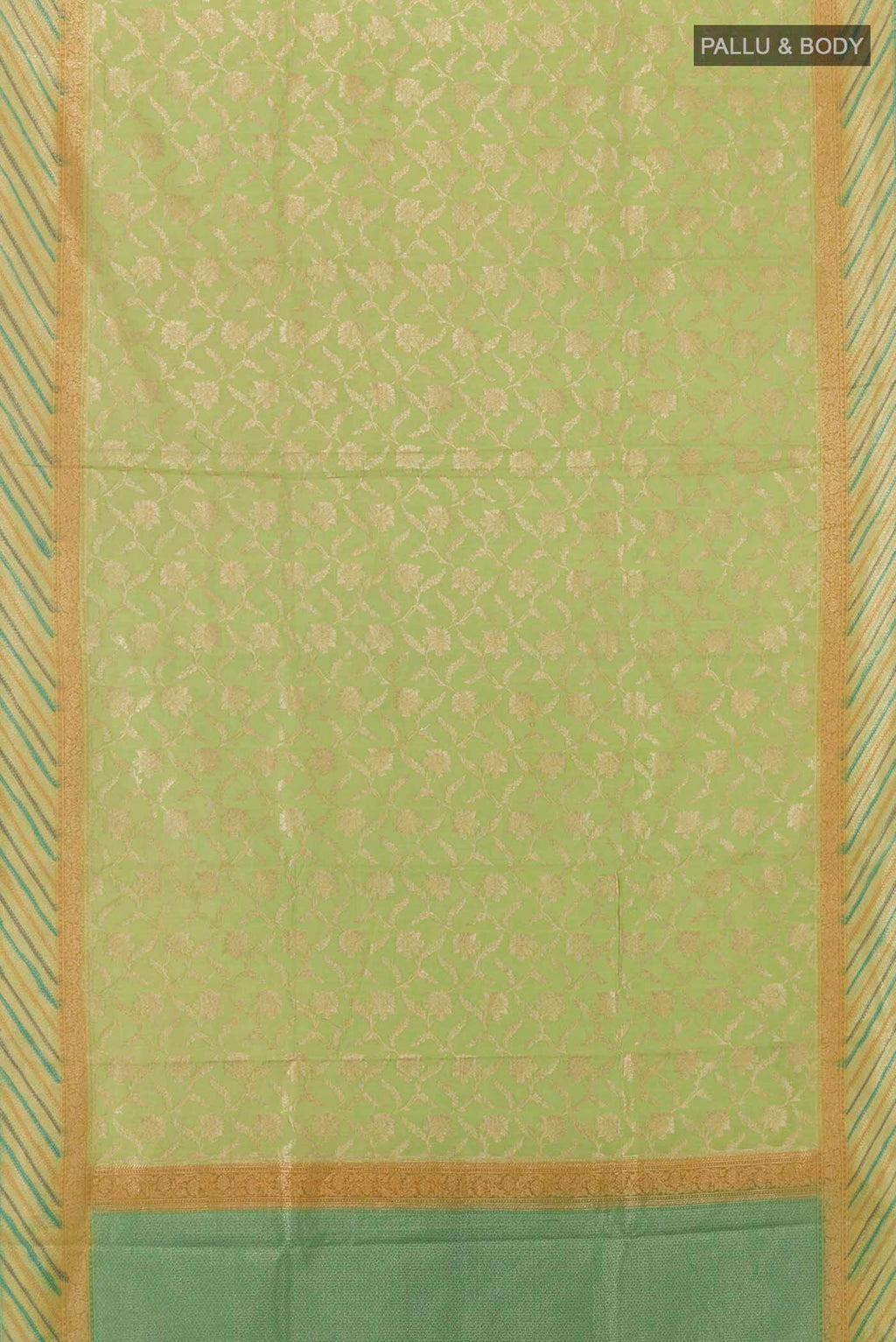 pallu body