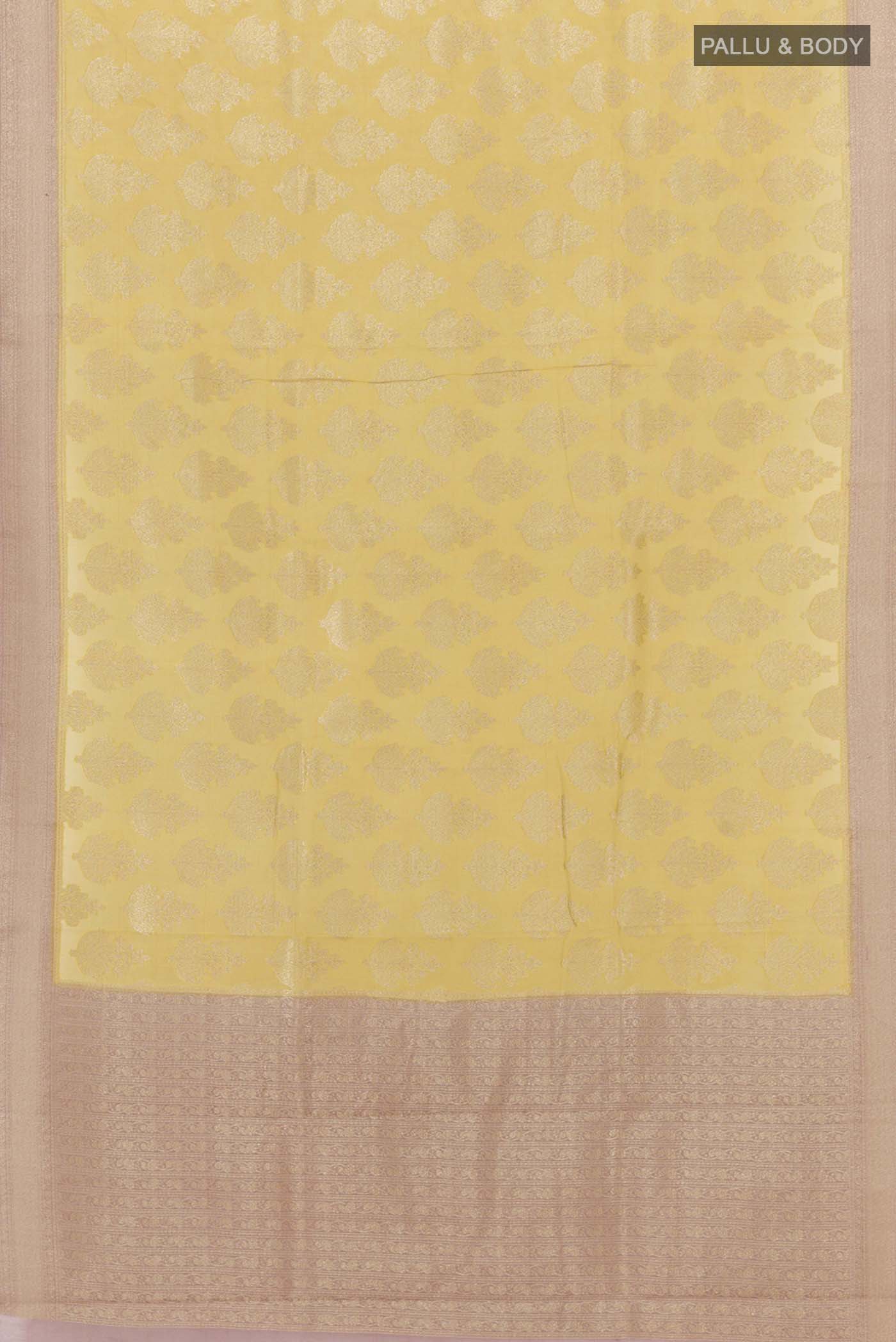 pallu body