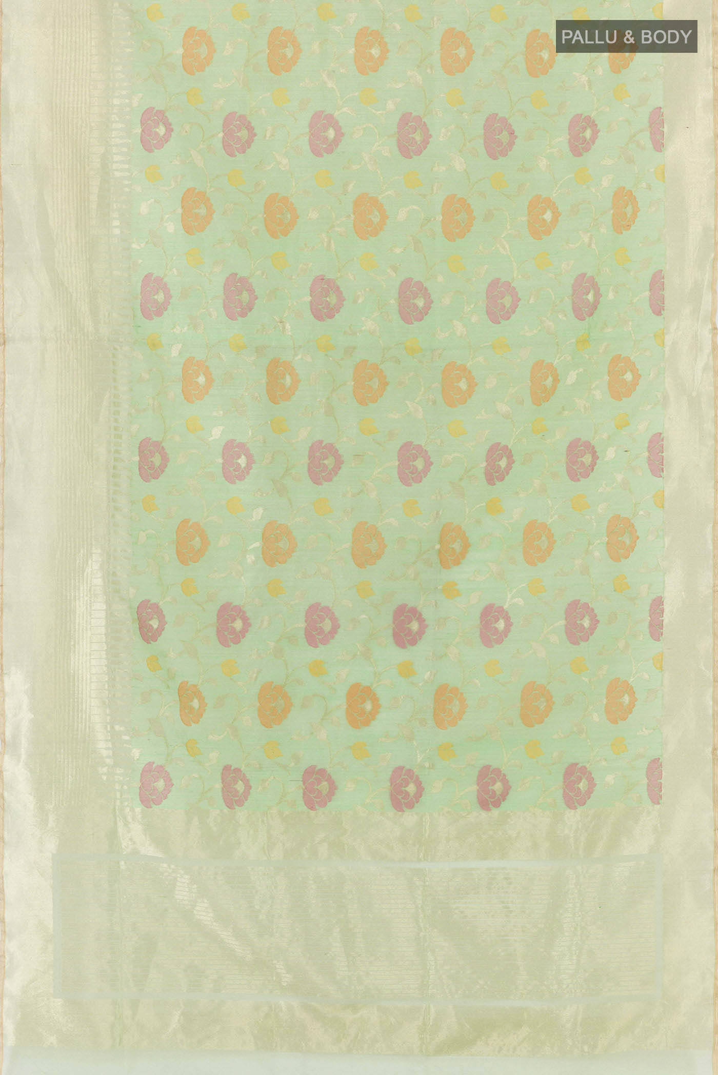 pallu body