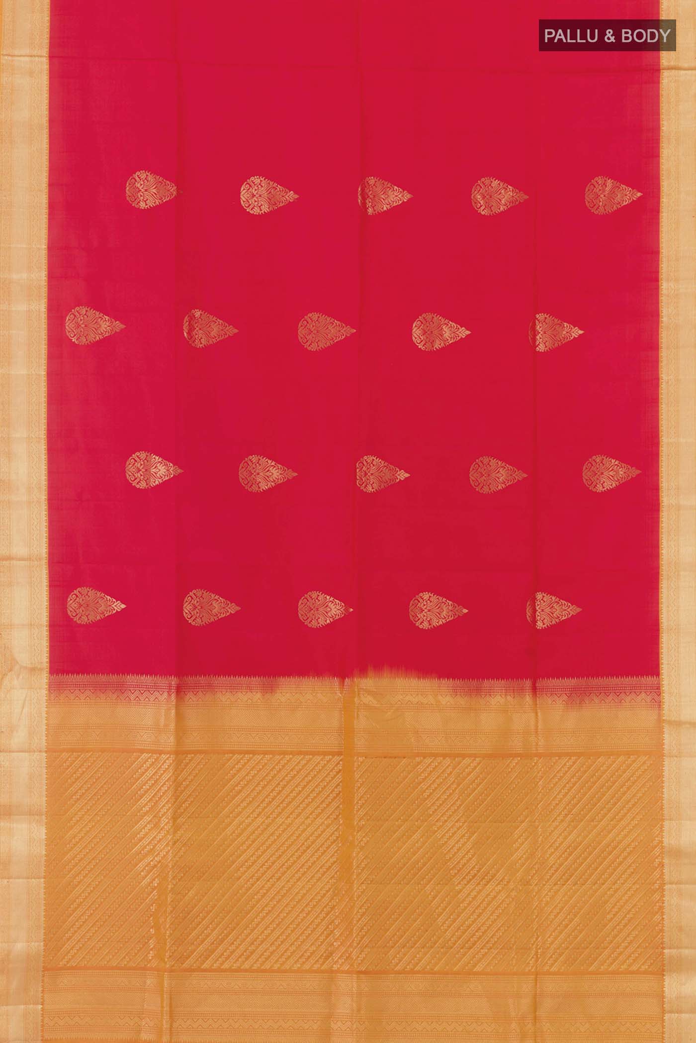 pallu body