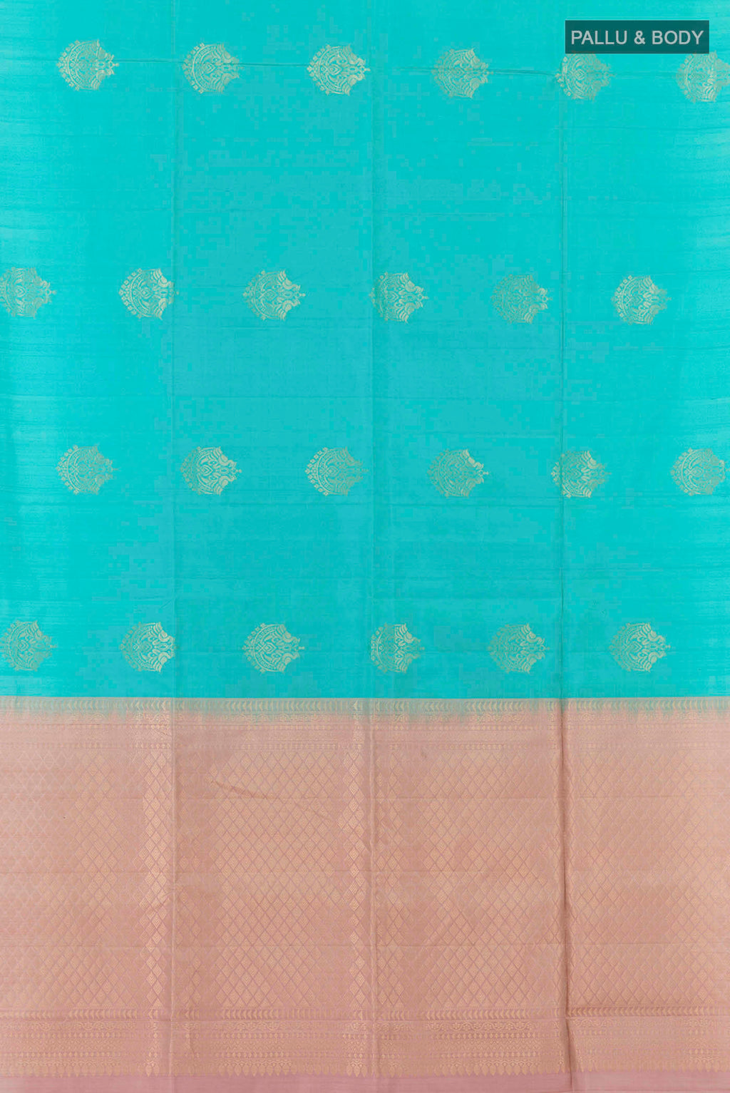 pallu body