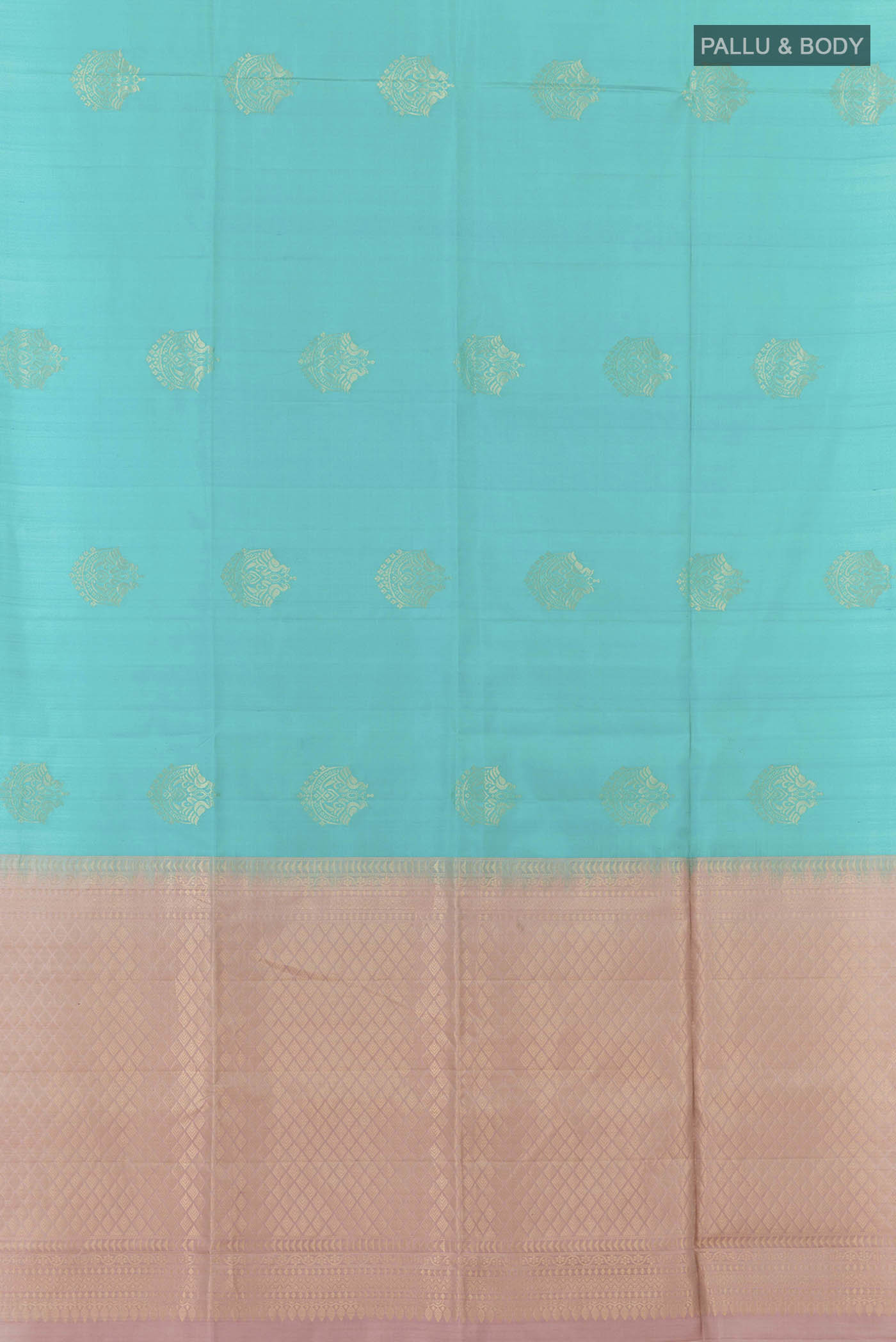pallu body
