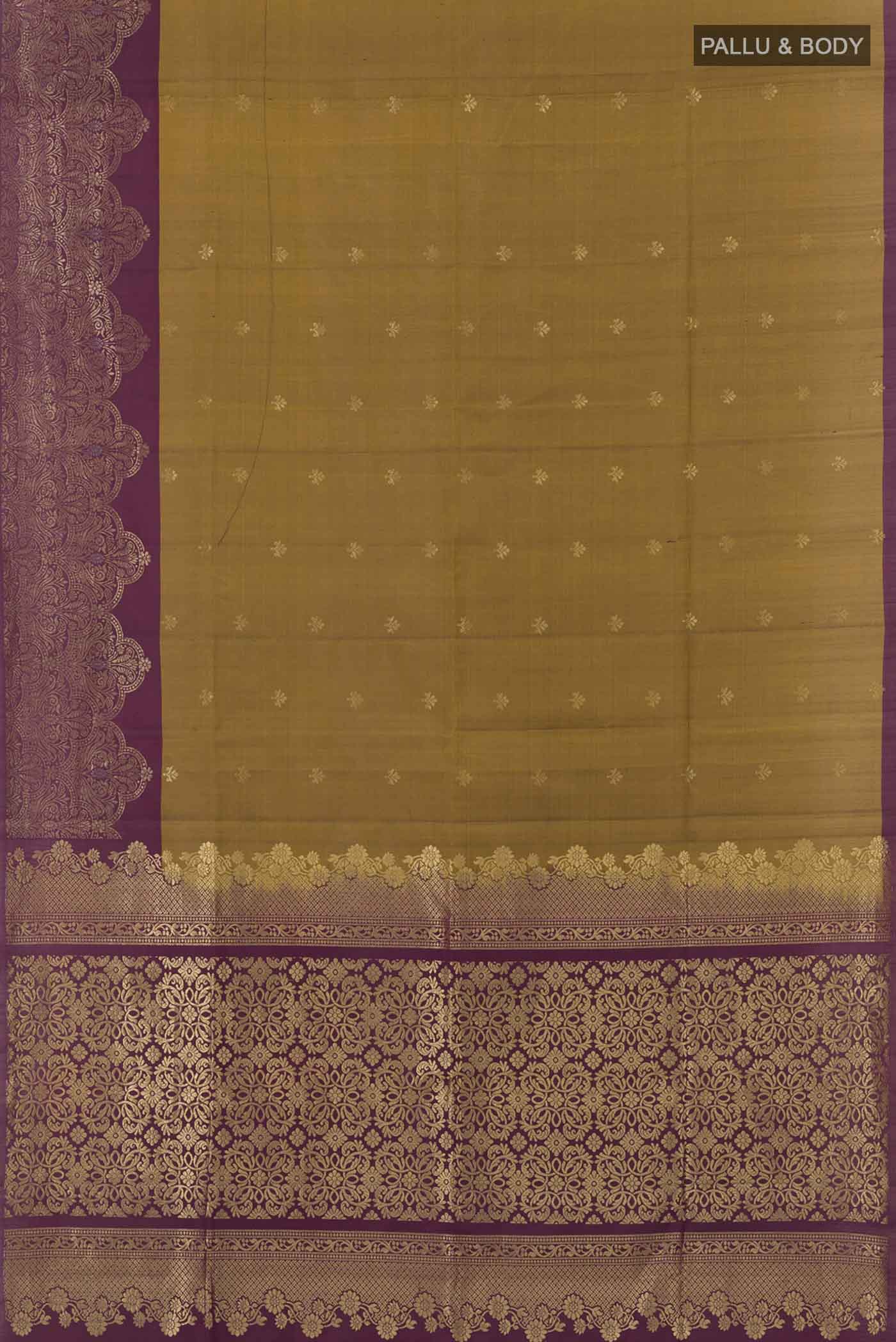 pallu body