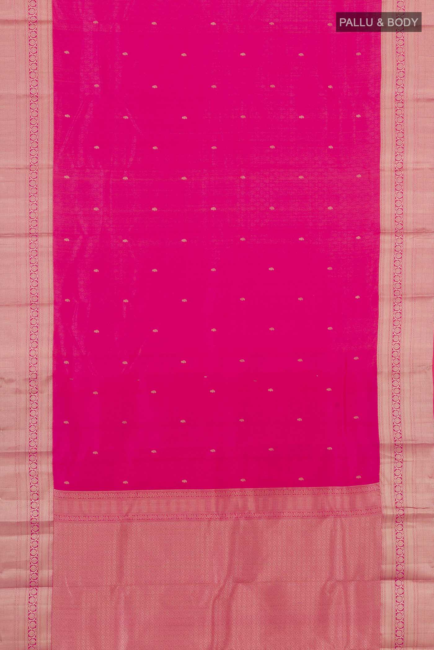 pallu body