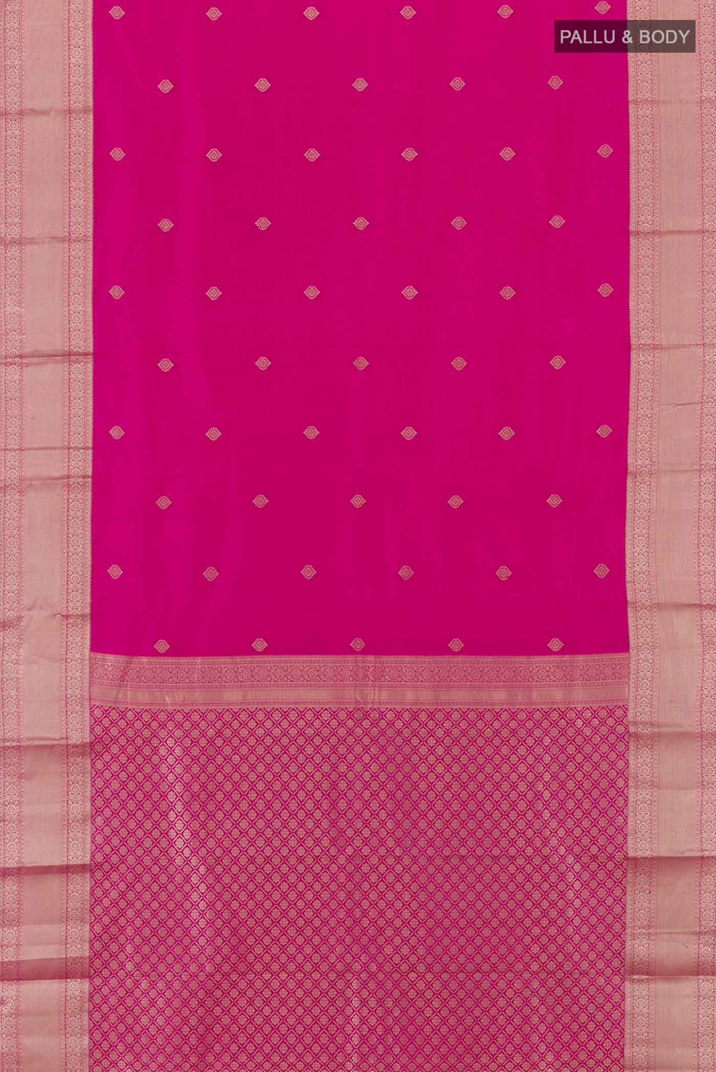 pallu body