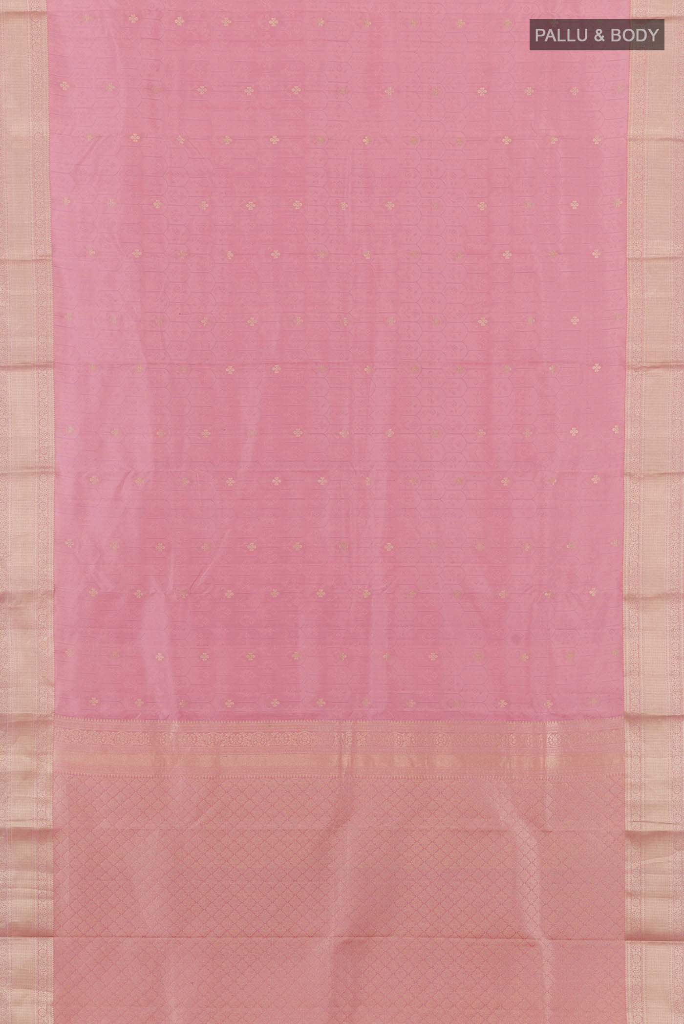 pallu body