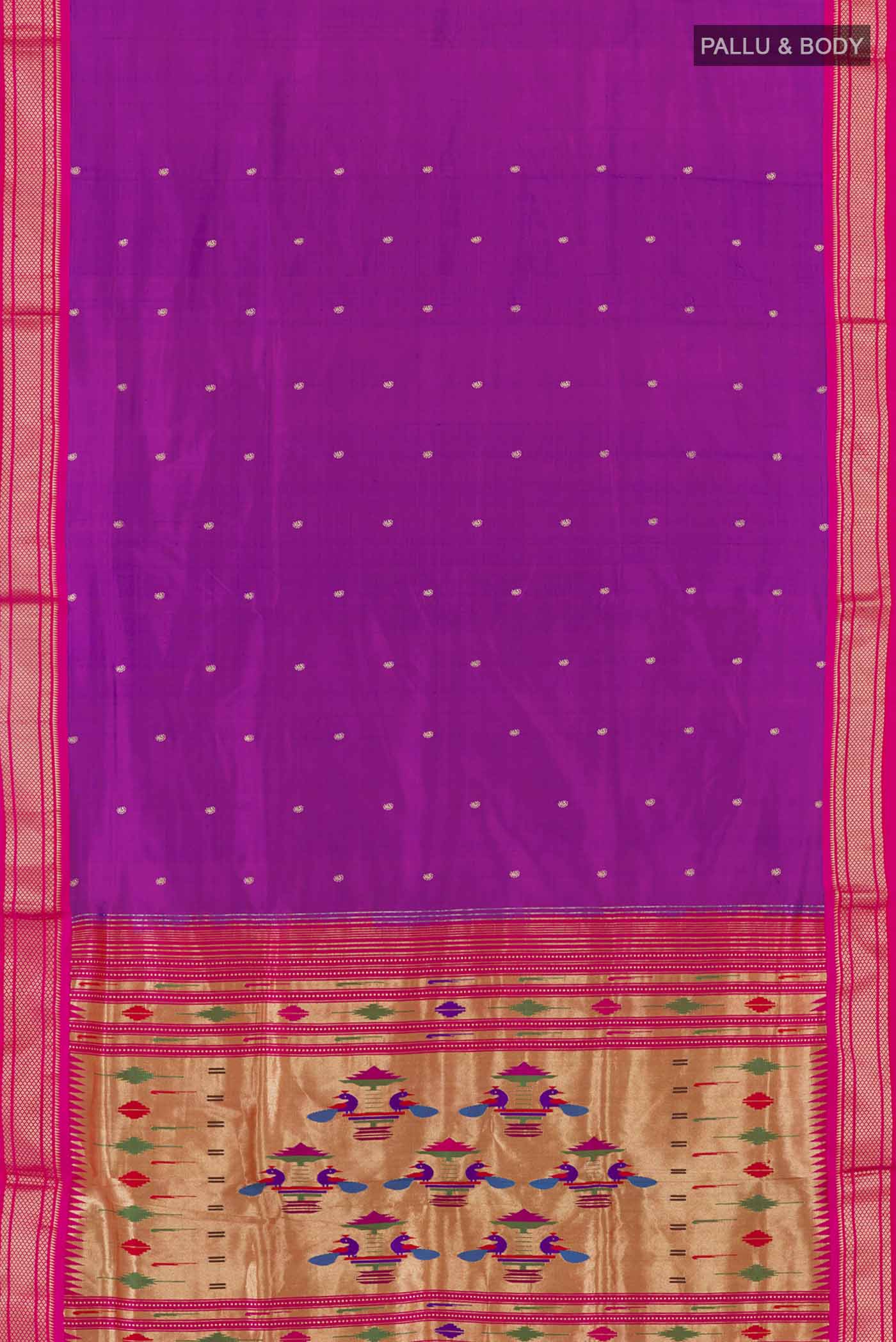 pallu body