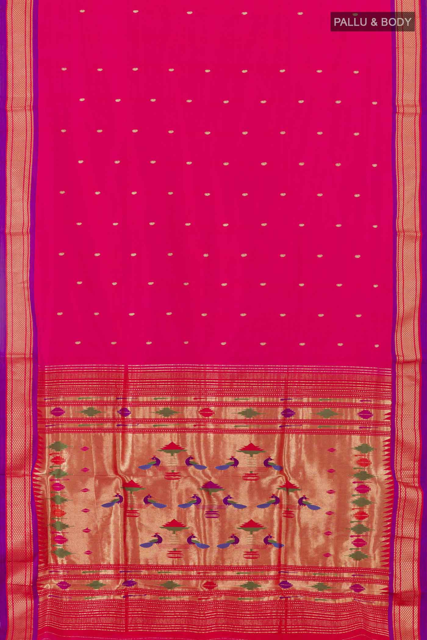 pallu body