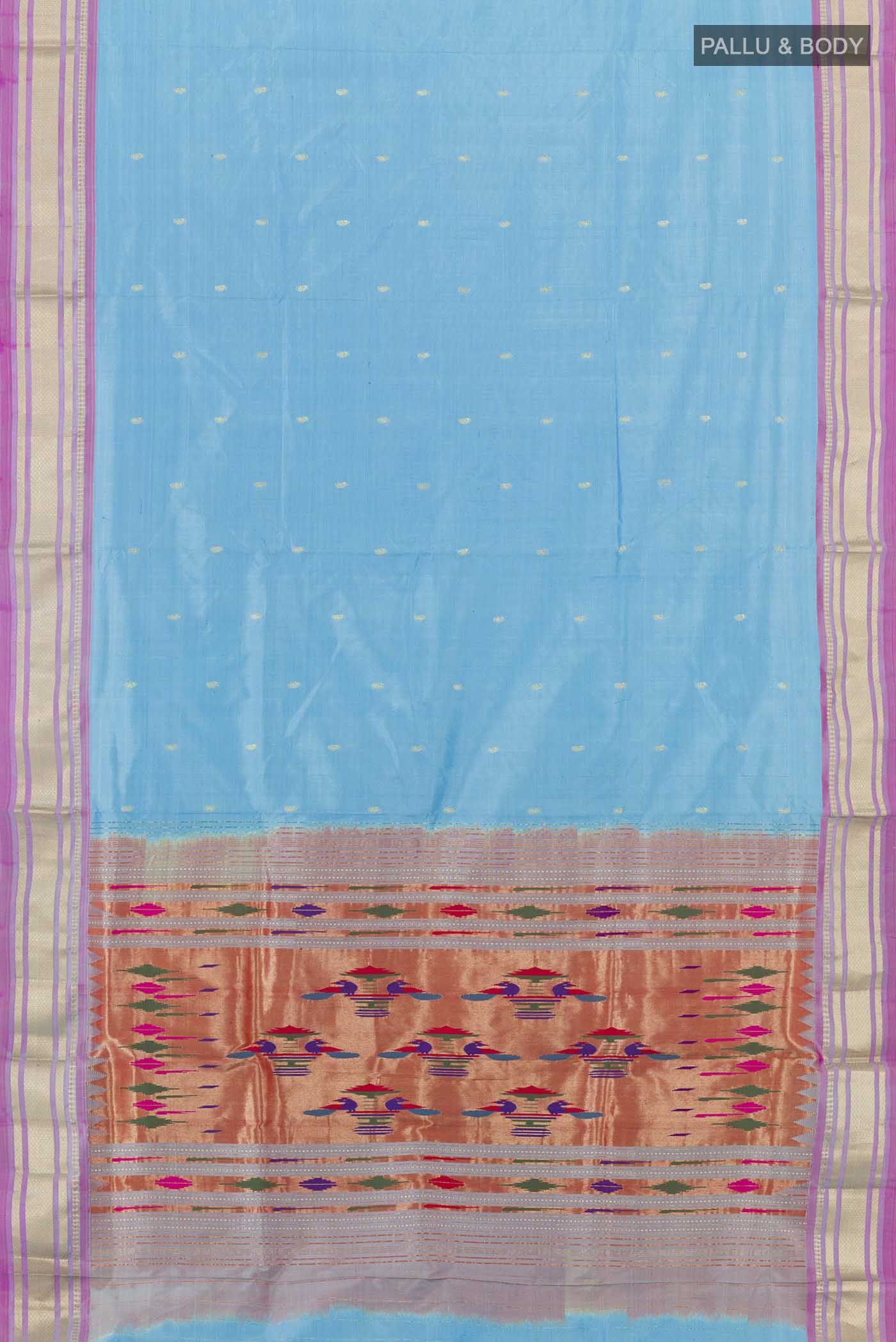 pallu body